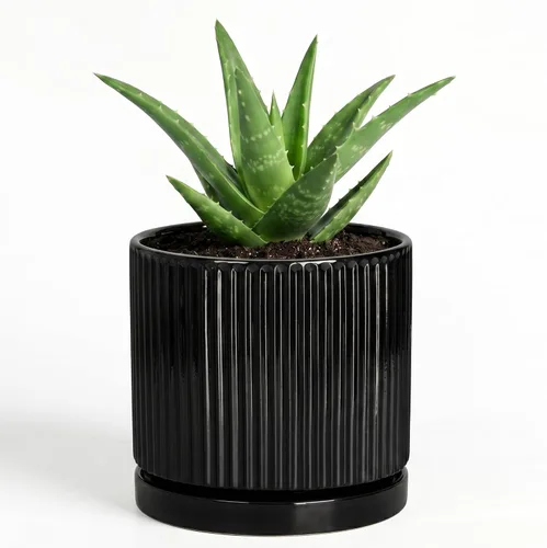 Vista 11 de 8 Inch Flower Pot, Ceramic Planters, Round Plant Pot, Beige