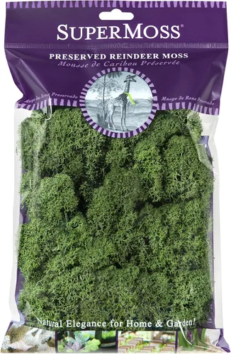 Vista 4 de SuperMoss (23080) Musgo de Reno Conservado, Albahaca, 2 Onzas