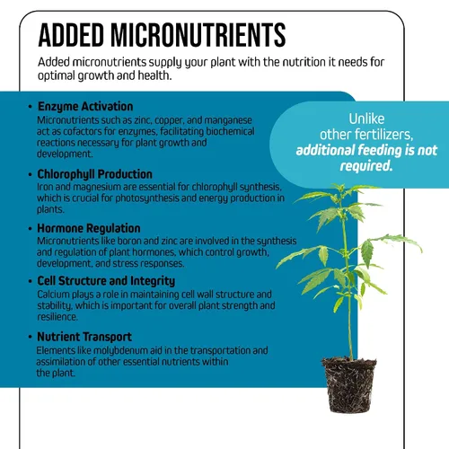 Vista 3 de Jack's Nutrients 15-6-17 Fertilizante soluble en agua clon, 2.2 libras - Desarrollo rápido de raíces y amplio crecimiento del sistema radicular