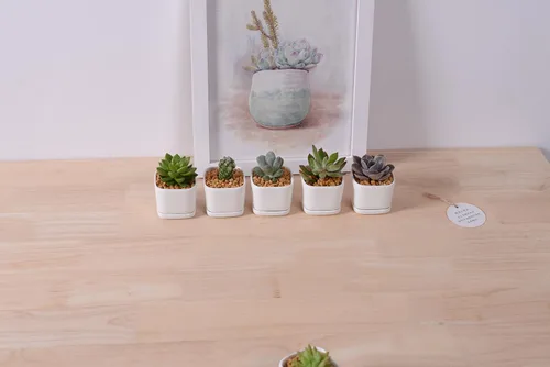 Vista 6 de Sea Star - Maceta moderna rectangular minimalista de cerámica blanca de 10 pulgadas para plantas suculentas para oficinas, escritorios, ventanas