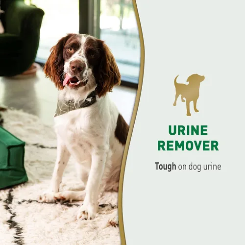 Vista 3 de Nature's Miracle Removedor de orina para perros, 24 onzas, fórmula enzimática