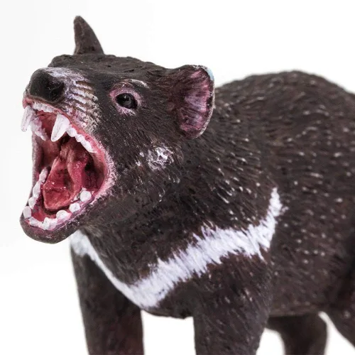Vista 5 de Safari Ltd. Tasmanian Devil Figurine - Figura marsupial realista de 3.5 pulgadas, juguete educativo para niños, niñas y niños a partir de 3 años