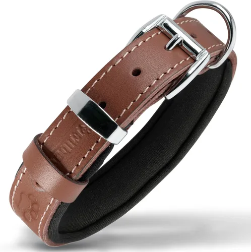 Vista 14 de Filbert Collar de cuero para perro, collar de cuero genuino para perros pequeños, estampado de patas en relieve con hebilla, grano completo curtido