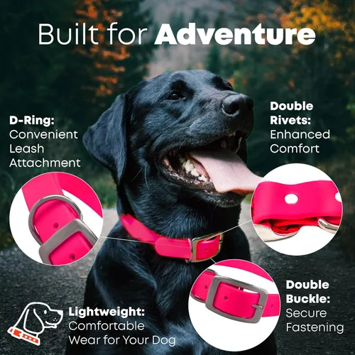 Vista 3 de Regal Dog Products Collar de Perro Rosa Mediano con Placa de Nombre Grabada Personalizada - Ajuste Personalizado, Resistente, Fácil de Limpiar
