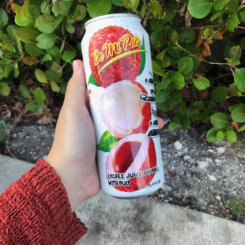 Vista 2 de De Mi Pais Bebida de lichi con pulpa 16 oz/Bebida de Lichi con Pulpa 16oz (12)