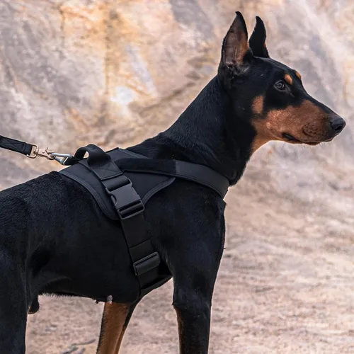 Vista 7 de EXCELLENT ELITE SPANKER Arnés táctico para perro, arnés de patrulla militar, chaleco de servicio para perro, chaleco militar para perro, chaleco