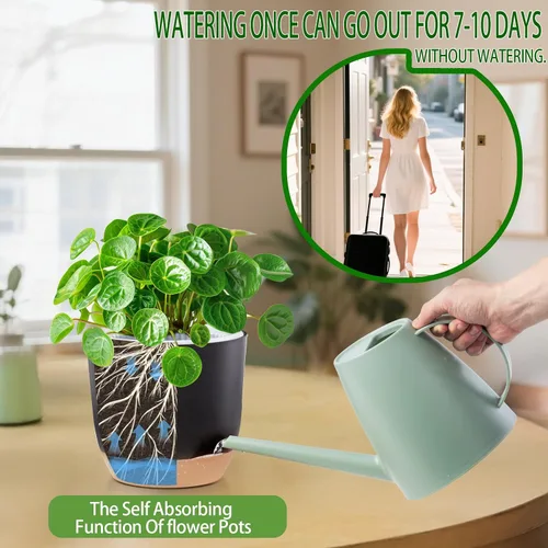 Vista 5 de Macetas de Orquídeas de Riego Automático para Plantas de Interior, 5.8 Pulgadas Macetas para Orquídeas, Macetas de Flores para Plantas