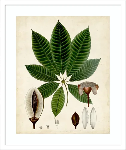 Vista 20 de Amanti Art Vision Studio - Lienzo decorativo para pared, 24 x 20 pulgadas, follaje verde VII por Vision Studio, arte de pared de naturaleza