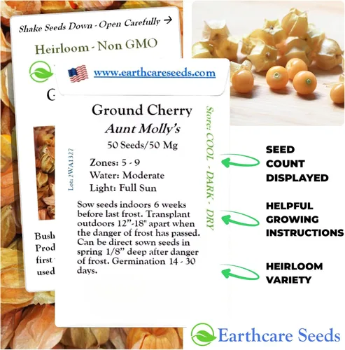 Vista 6 de Ground Cherry Aunt Molly's 50 Seeds
