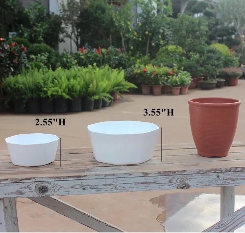Vista 6 de Paquete de 8 macetas de plástico poco profundas de 8.00 pulgadas y 5.90 pulgadas, maceta octágono con bandeja para suculentas, cactus