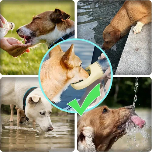 Vista 8 de Kalimdor Botella de agua para perros, dispensador de agua portátil de 12 onzas a prueba de fugas para cachorros con alimentador para mascotas