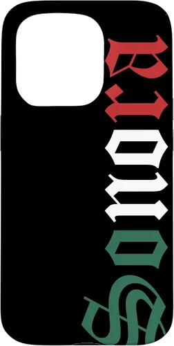 Vista 14 de Sonora Mexico Mexican Flag State Estado Case for iPhone 16