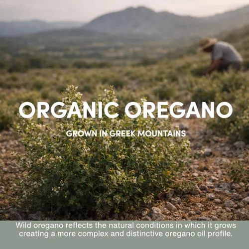 Vista 7 de Oregavit Aceite de orégano griego salvaje 100% puro, 100% puro sin diluir, 86-90% Carvacrol, alta potencia, apoyo inmunológico, a base de plantas