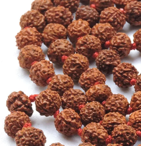 Vista 3 de HealthGoodsIn Rudraksha Mala anudada, orgánica, 5 caras (Panchmukhi) con 108 + 1 cuentas (tamaño de cuentas de 0.31 a 0.315 pulgadas)