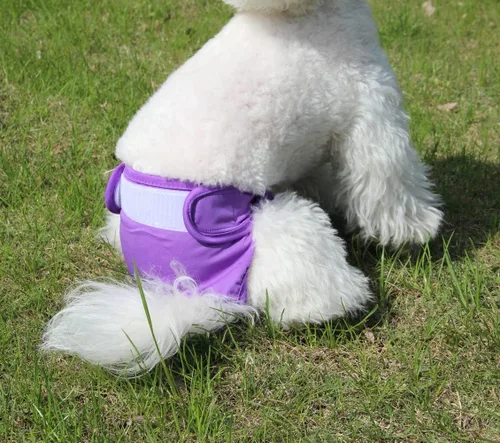 Vista 8 de JoyDaog Pañales para perros pequeños, paquete de 4 pañales reutilizables para cachorros, S