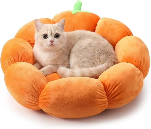 Vista 8 de RattanView Cojín de casa para gatos para mascotas de interior gatito, árbol