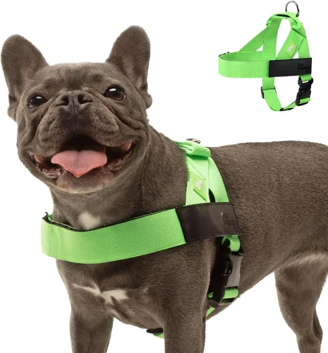 Vista 19 de Arnés para perro Dog Friendly Co Correas resistentes a rozaduras, cuello y pecho ajustables, y anillo en D resistente Resistente, cómodo, fácil