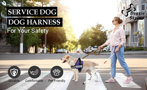 Vista 3 de Arnés del perro, chaleco reflectante, viene con 2 parches de velcro para perro Medir el perro antes de ordenar, Negro Adjustable, Comfortable