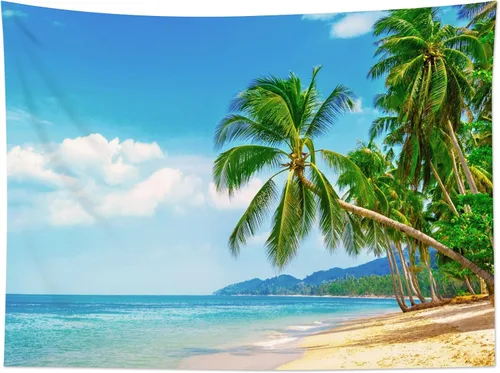 Vista 16 de HVEST Tapiz de playa para colgar en la pared, paisaje tropical azul océano, tapiz natural para dormitorio, palmera verde con cielo azul, nube