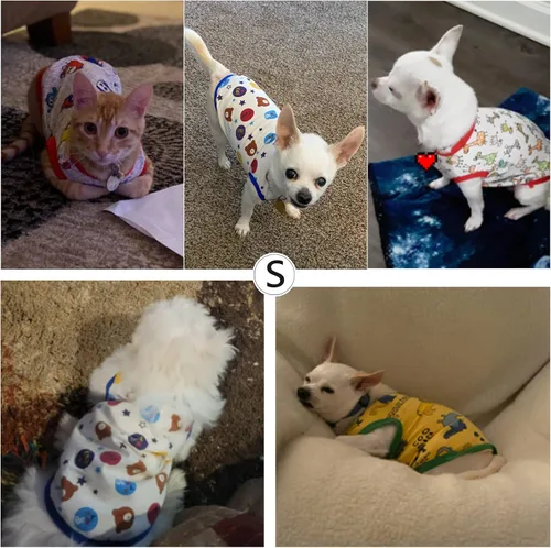 Vista 2 de Geyoga Camisas para perros de 6 piezas - Lindas camisas y sudaderas de algodón con estampado para perros (M)