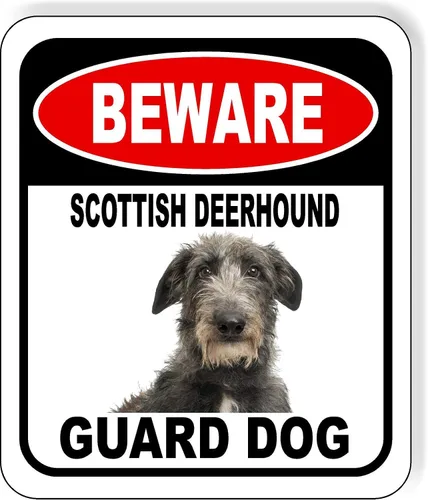 Vista 150 de BEWARE BASSETT HOUND GUARD DOG - Letrero compuesto de aluminio para exteriores, 8.5 x 10 pulgadas CUIDADO BASSETT HOUND GUARD PERRO