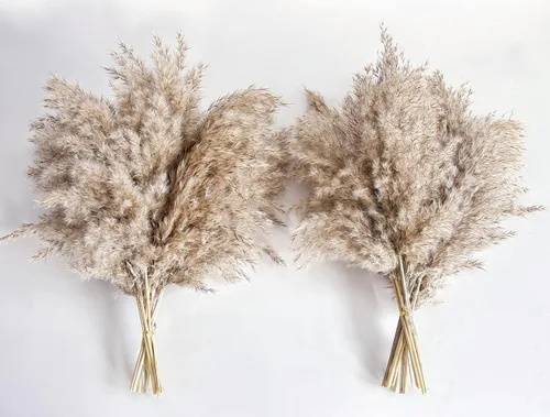 Vista 11 de Zacate de las Pampas Negro para Decoración del Hogar - Elegante Decoración Boho - Tallos de Alta Calidad de Zacate de las Pampas - Perfecto