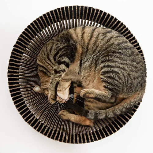 Vista 3 de Nest - Cama rascador para gatos (negro medianoche, sin montar)