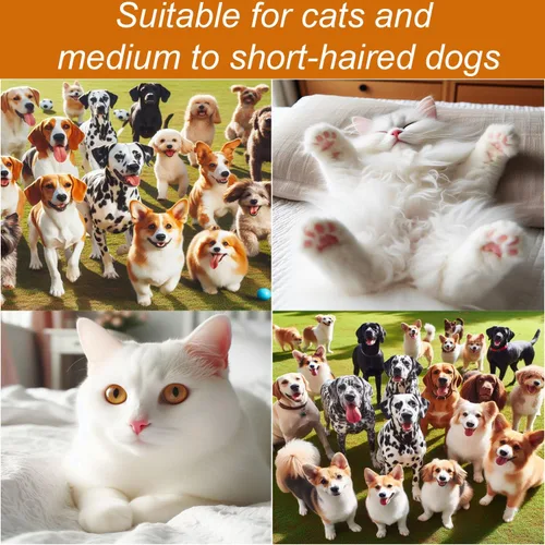 Vista 9 de Secador de pelo silencioso para mascotas de 300 W - Secador de pelo para mascotas para perros y gatos pequeños y medianos con peine extraíble