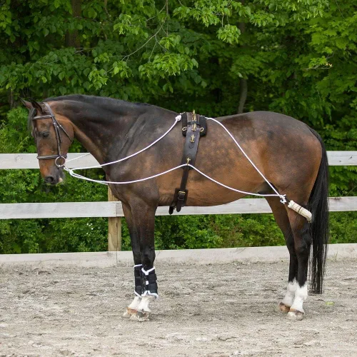 Vista 2 de Sistema de entrenamiento europeo avanzado Herramienta de entrenamiento avanzada Mejora el carro de caballos y los auriculares Fomenta