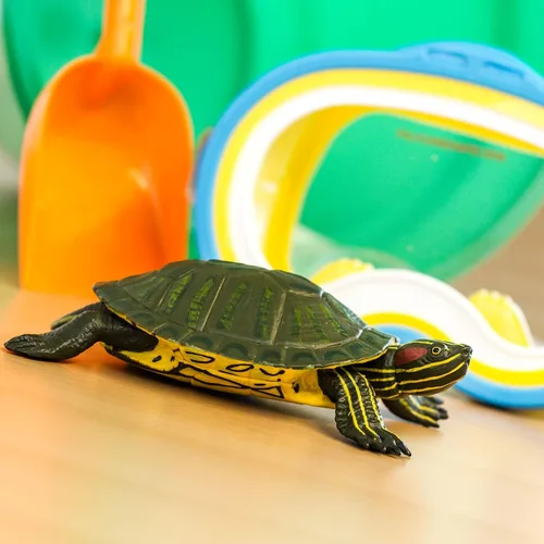 Vista 7 de Increíble criatura tortuga deslizante de orejas rojas