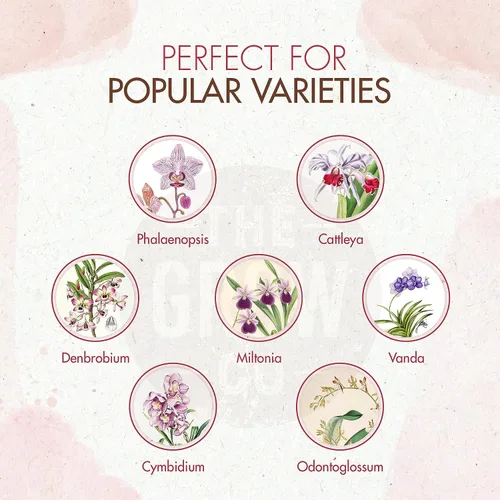 Vista 2 de Rocío de Alimento para Orquídeas Orgánico Listo para Rociar - Fertilizante Potenciador de Floración para Orquídeas en Macetas - Nutrientes Vegetales