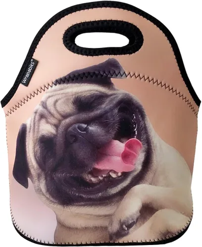 Vista 8 de allydrew Bolsa de almuerzo de neopreno aislada con cremallera para lonchera, plátanos y rayas