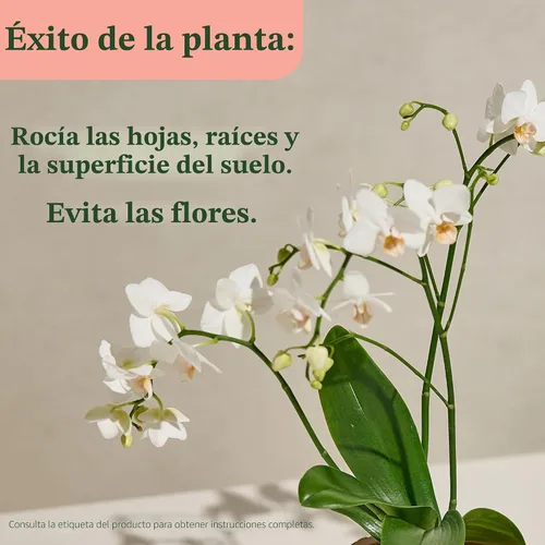 Vista 6 de Miracle-Gro - Rocío de alimentos para plantas de interior para orquídeas, 8 onzas líquidas (paquete de 2) Alimento vegetal de orquídeas Niebla