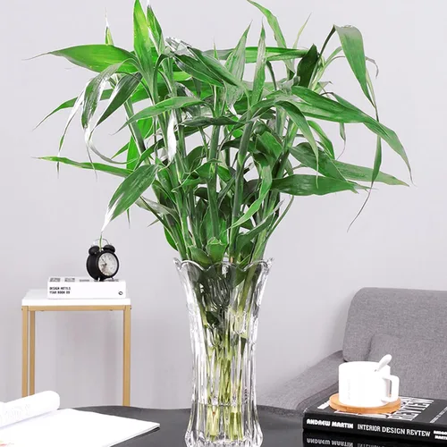 Vista 9 de Dicunoy Juego de 2 jarrones de flores de cristal, jarrones grandes de 9.5 pulgadas para centros de mesa, modernos jarrones acampanados de cristal