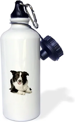 Vista 2 de 3dRose Botella de agua deportiva "Border Collie" de 21 onzas, color blanco