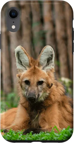 Vista 23 de Funda para iPhone 13 Pro Max Maned Wolf