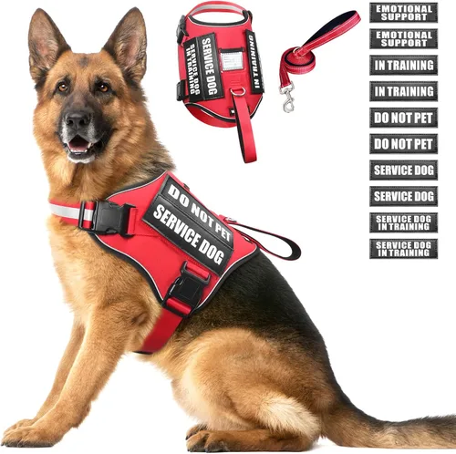 Vista 17 de Juego de arnés y correa para perro de servicio, chaleco de entrenamiento para perros con 10 parches para perros, chaleco de arnés para perros