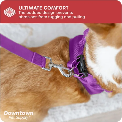 Vista 241 de Downtown Pet Supply Arnés para perro Step-in – Sin tirones, malla acolchada ajustable con ribete reflectante, correa de hebilla segura – Arnés