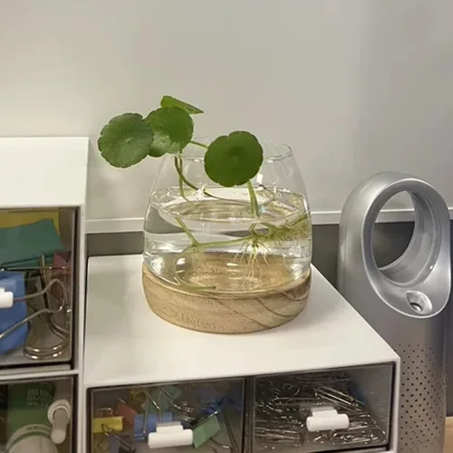 Vista 7 de Jarrón de cristal con base de madera desmontable, pequeña planta hidropónica de escritorio, terrario ecológico para acuario, florero para peces