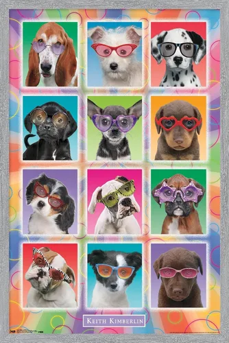 Vista 15 de Trends International Keith Kimberlin - Póster de pared con diseño de cachorros, gafas de sol, 14.725 x 22.375 pulgadas, versión enmarcada de madera