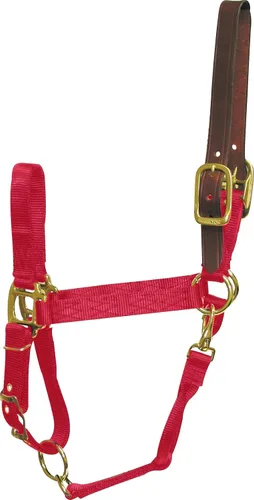 Vista 17 de Hamilton Cabestro ajustable de nailon de 1 pulgada con cabeza de cuero y broche de garganta, grande, negro