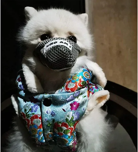 Vista 4 de Bozal para mascotas, cubierta protectora para la boca del perro, transpirable, antimordeduras, ajustable, bozal antivaho para perros pequeños y Gris