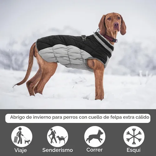 Vista 3 de FUAMEY Abrigo para perros pequeños, chaqueta de invierno de forro polar