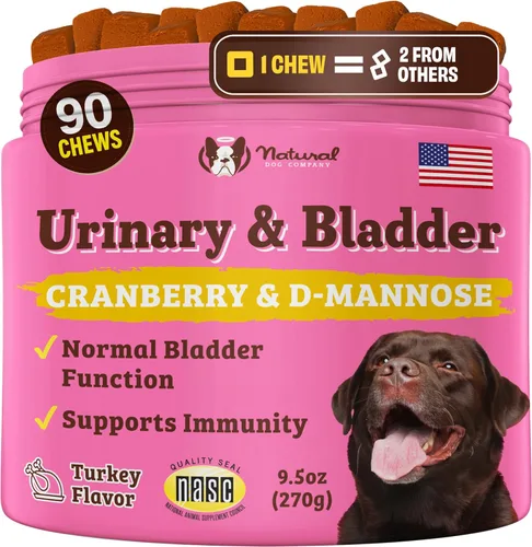 Vista 14 de Natural Dog Company Probióticos para perros: masticables probióticos para perros con UFC 1B, cepas microencapsuladas específicas caninas