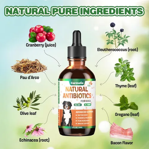 Vista 2 de Antibióticos naturales para perros – Antibióticos para perros, suplementos nutricionales para problemas de piel, alivio de picazón, suplemento