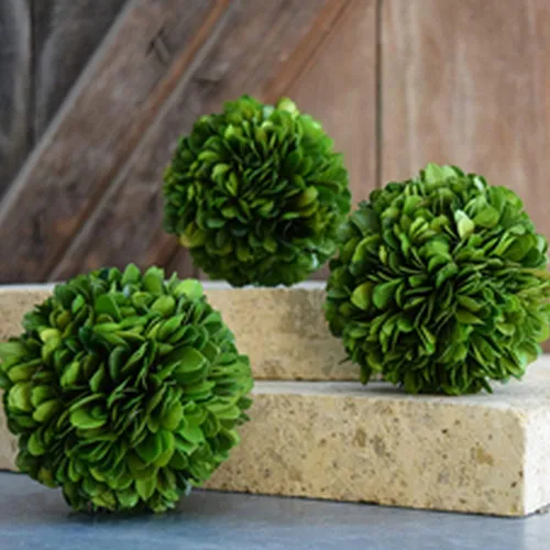 Vista 3 de Esfera decorativa de boj preservada, hojas de boj reales, plantas verdes, decoración del hogar para Navidad, Día de Acción de Gracias, regalos que