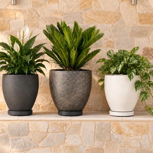 Vista 7 de Omnia Plant Glider: Organizador para plantas, 11.8 pulgadas, capacidad de 200 libras, carbón