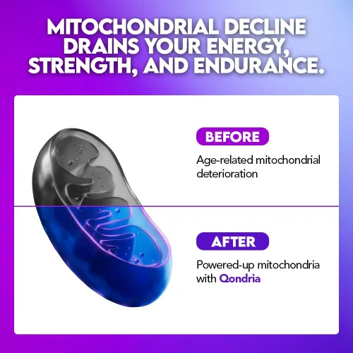 Vista 5 de Urolitina Un suplemento de 500 mg con mezcla de energía 4 en 1 de espermidina de 10 mg, Shilajit 300 mg y Cordyceps 400 mg por porción - Aumenta