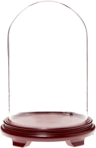 Vista 2 de Plymor Cúpula de cristal de 9.75 x 15 pulgadas (base con patas de chapa de madera negra)