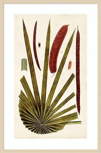 Vista 18 de Amanti Art Vision Studio - Lienzo decorativo para pared, 24 x 17 pulgadas, variedades de hojas VI por Vision Studio, arte de pared de naturaleza